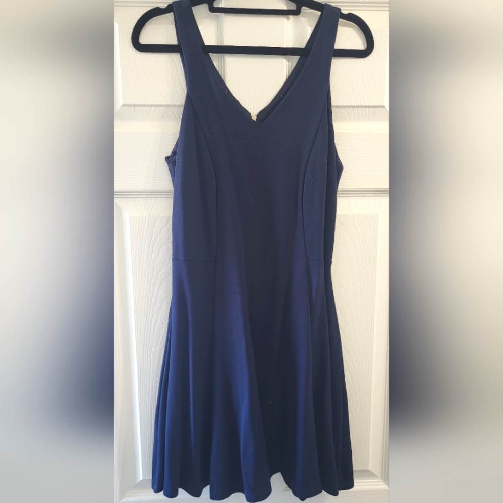 Dex Fit And Flare Navy Dress Medium